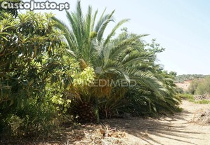 imagem_30