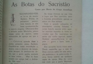 imagem_6