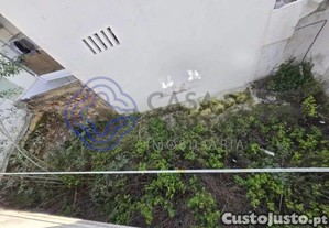 imagem_11