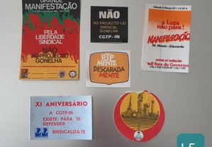 imagem_5