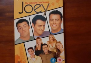 DVD - The Complete First Season Joey