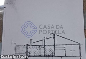 imagem_11