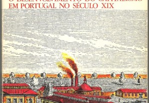 O Desenvolvimento do Capitalismo em Portugal no Século XI - M. Villaverde Cabral (1976)