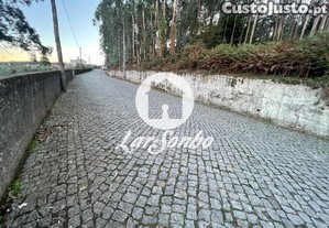 imagem_8
