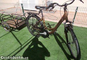 bicicleta com atrelado e baloios