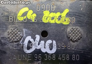 imagem_5