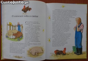 imagem_5