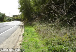 imagem_4