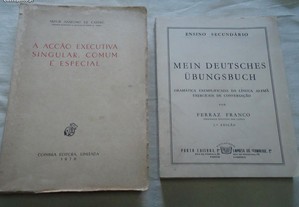 Dois livros Mein Deutsches ubungsbuch e Aanos 70cção executiva singular comum e especial