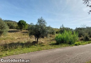 Terreno Agrícola em Colmeias e Memória