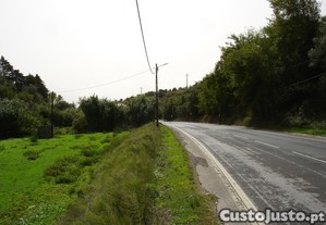 imagem_8
