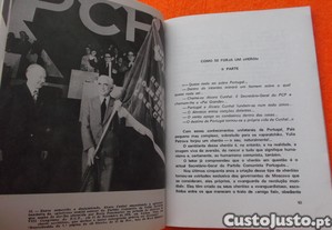 imagem_6