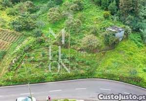 imagem_1
