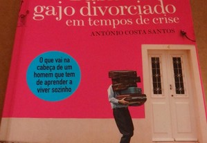 "Diário de Um Gajo Divorciado Em Tempos de Crise"