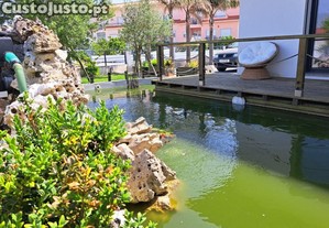imagem_14