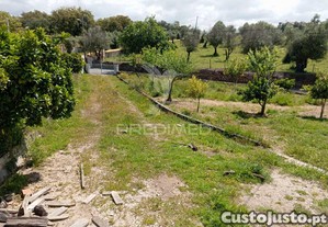 Terreno - urra/ portalegre