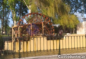 imagem_14