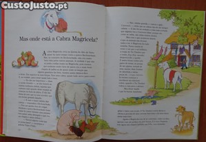 imagem_4