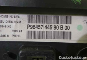 imagem_3
