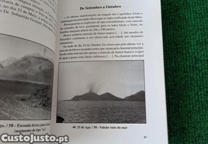 imagem_8