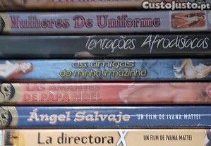 imagem_13