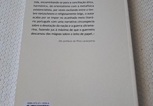 imagem_2