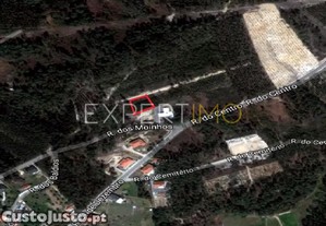 Terreno Com plantao de eucaliptos e pinheiros