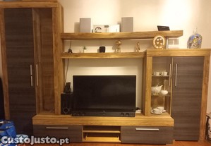 Mvel de sala para TV