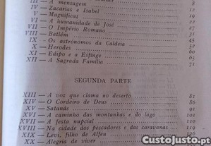 imagem_10