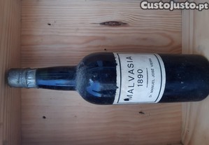 imagem_1