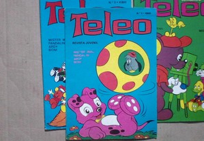imagem_4