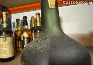 imagem_3