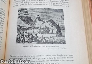 imagem_7