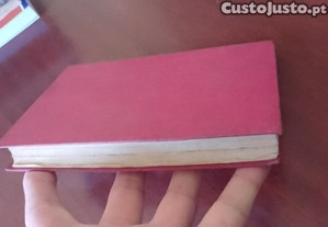 imagem_14