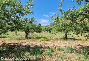 Terreno em Azueira e Sobral da Abelheira de 7812,00 m²