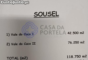 imagem_38
