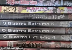 imagem_14