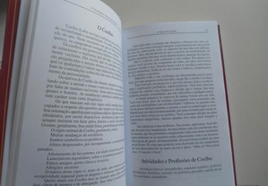 imagem_8
