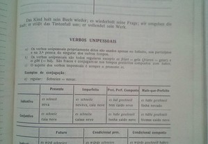 imagem_6