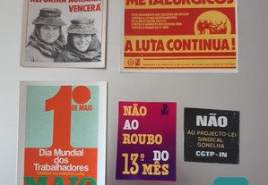 imagem_6