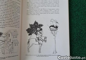 imagem_8
