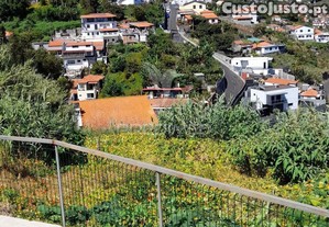 imagem_1
