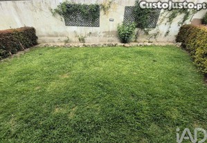 imagem_38