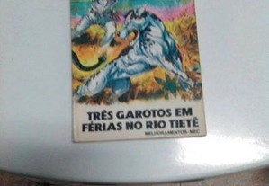 imagem_6