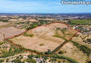Terreno em Vale Carvo-Carril-Torres Novas | 15,88 Hectares