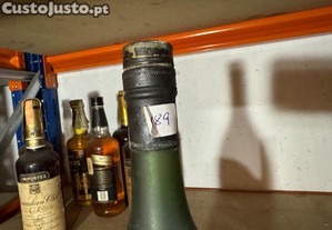 imagem_4