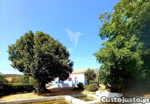 imagem_34