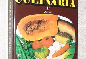 Tele Culinária 1º Vol - Chefe António Silva