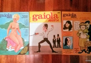 Lote 3 revistas Gaiola Aberta