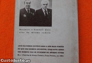 imagem_8